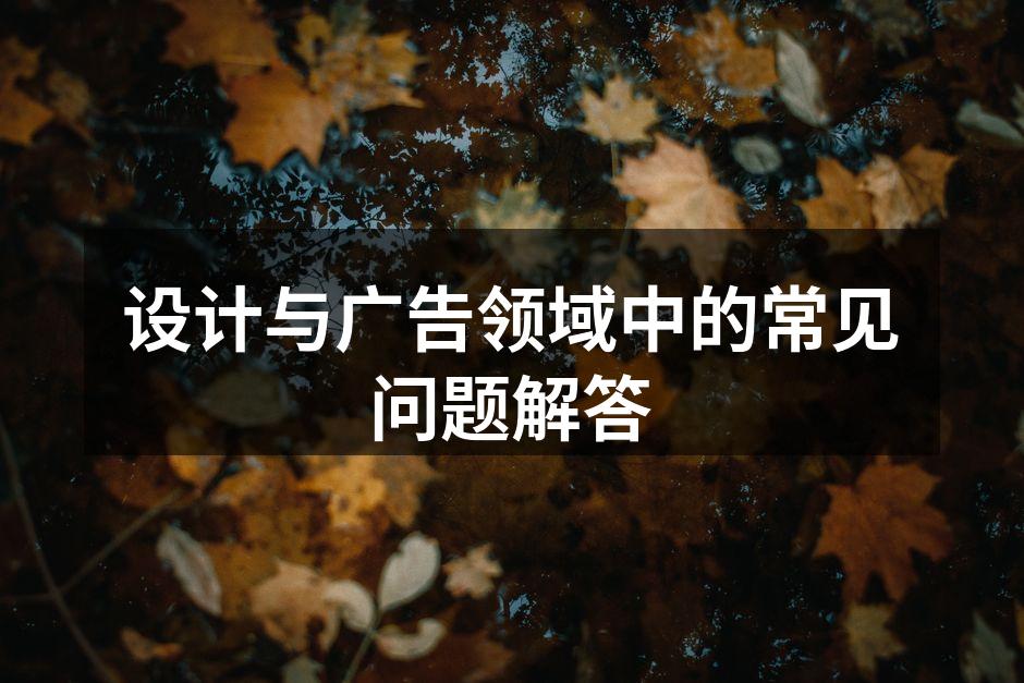 设计作品展示