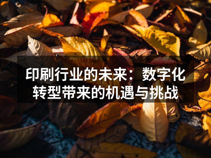 数字印刷设备正在生产中