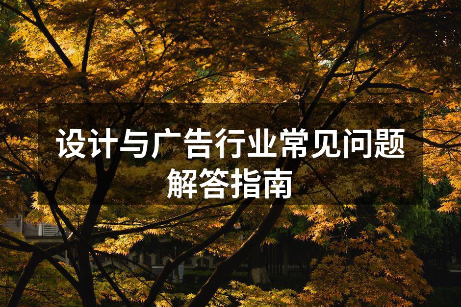 设计流程图解